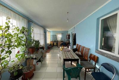 Casă cu Teren 2500 Mp în Homorog - 4