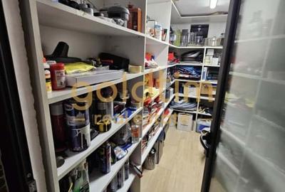 VILA DE EXCEPTIE/LUX/MOBILATA/UTILATA/CURTE/GARAJ/BAZILESCU - 83