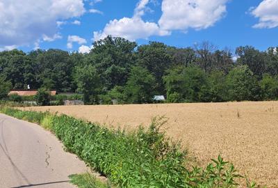 Teren de 7318 mp, în Lupăria - 5