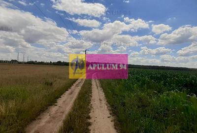Teren Construcții intravilan de 715 mp, în Snagov - 1