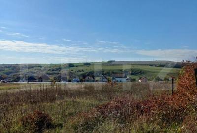 Teren intravilan 2877 mp, in Copaceni - 1