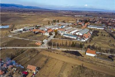 In areal linistit, acces facil, 120.000mp teren extravilan, Covasna , Borosneu M - 3