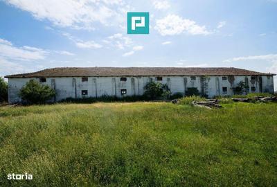 Spațiu comercial, de 455 mp, în Zărand - 11