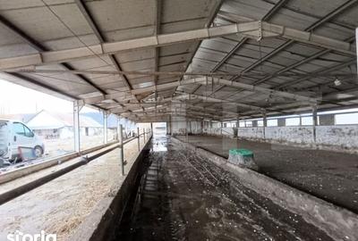 Spațiu comercial, de 6,600 mp, în Valea Lungă - 4