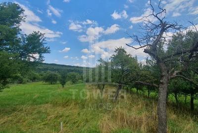 Teren de 594 mp, în Sibiel