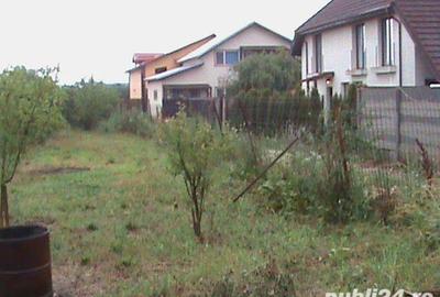 Casă cu 6 camere cu Teren 800 Mp în 1 Decembrie - 1