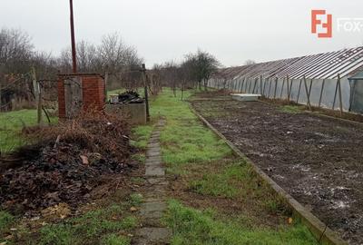 Casa individuala cu 5 camere de inchiriat zona Aradul Nou - 6