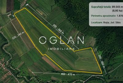 Teren agricol extravilan de 89543 mp, în Roșia - 1