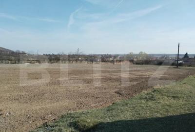 Teren de 90000 mp, în Central - 7