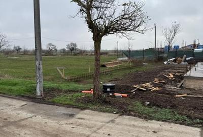 Vila premium cu finisaje de top, 396 mp teren, Balotesti , tripan - 17