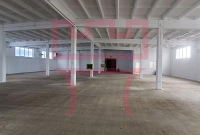 Spațiu industrial, 210 mp în Someșeni - 13