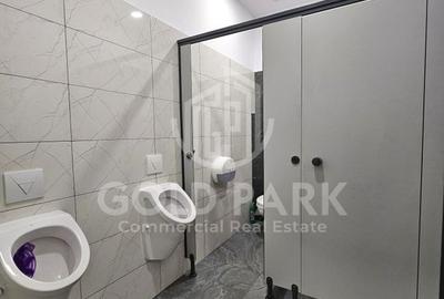 Spatiu de Birouri-Clasa A-Zona Centrala-Suprafete intre 110-700 mp Spatiu de Birouri-Clasa A-Zona Centrala-Suprafete intre 110-700 mp - 8