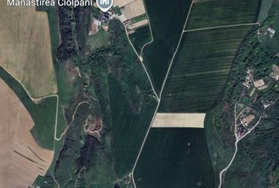 Teren de 260000 mp, în Central - 6