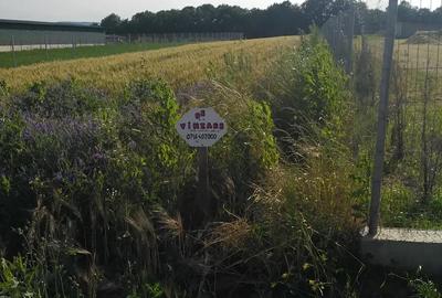 Teren de 2561 mp, în Nord - 2