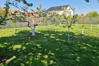 Casă cu 4 camere în Central - 7