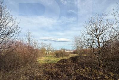 ???? Blitz va propune spre vanzare Teren 6.500 mp, Cal - 1