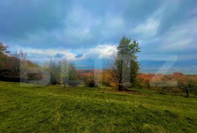 Teren de vanzare Subcetate, zona Livada - 3