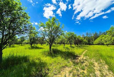 Teren intravilan Cotmeana Arges - 2
