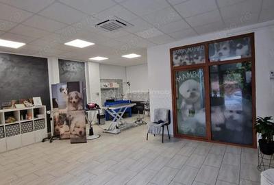 Spațiu comercial, de 50 mp, în Central - 2