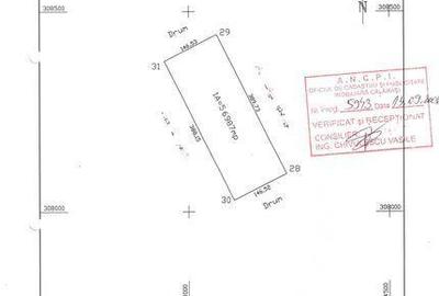 Teren de 56987 mp, în Frumușani - 2