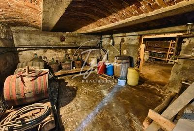 Casa  6 camere de vanzare str Samuel Micu Talmaciu - 12