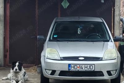 Casă cu 2 camere în Petros - 5