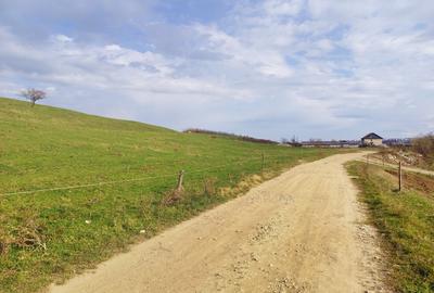 Vand teren Sibiu 5700mp - 4