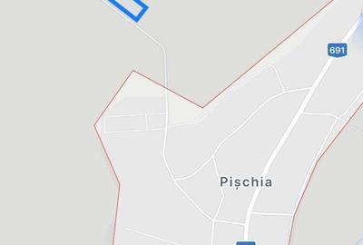 Teren de 4375 mp, în Pișchia