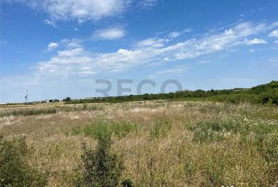 Teren de 39000 mp, în Leș - 5