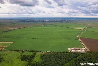 Teren arabil de 985 hectare in Bihor - 3