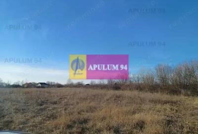 Sabareni, teren 6200 mp, construibil, cu utilita?i - 1