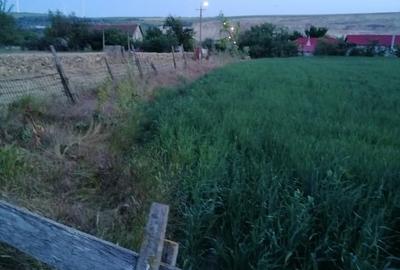 Teren Construcții intravilan de 3850 mp, în Țibrinu - 4