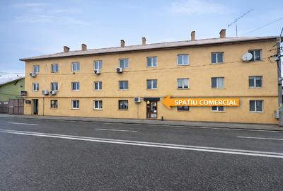 Oportunitate Investiție: Spațiu Comercial cu Vad Consolidat (13 ani activitate) - 7