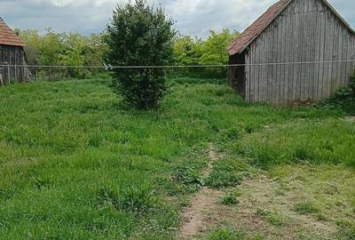 Casă cu Teren 2453 Mp în Roșia de Secaș - 2