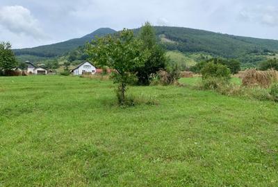 Teren intravilan 5360mp Bistrita Nasaud | Tiha Bargaului - 10