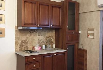 Apartament Centrul Vechi Craiova - 4