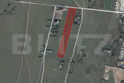 Teren intravilan, 5000mp, PUZ P+2E+M, cartier Tractorul, Bra - 2