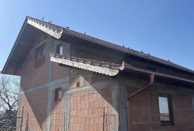 Casă cu 3 camere cu Teren 2083 Mp în Ciumeghiu - 7