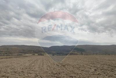 Teren de 11900 mp, în Fârdea - 9