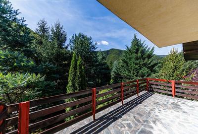 Hotel/Pensiune, de 35.294101715088 mp, în Poiana Mărului - 17