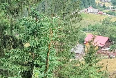 Spațiu comercial, în Poiana Horea - 6