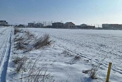 Teren de 520 mp, în Berceni - 5