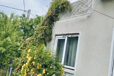 Casă cu 6 camere în Picu - 3