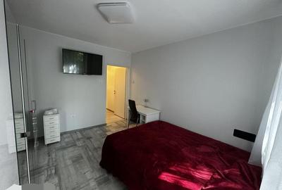 Apartament cu 3 camere decomandat, mobilat în Pajura - 10