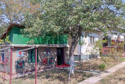 Casă cu 4 camere cu Teren 2800 Mp în Mozăceni - 2