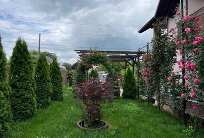 Casă individuală cu 5 camere cu Teren 996 Mp în Mehedința - 8