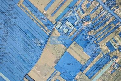 Teren intravilan Drumul Fermei - 1