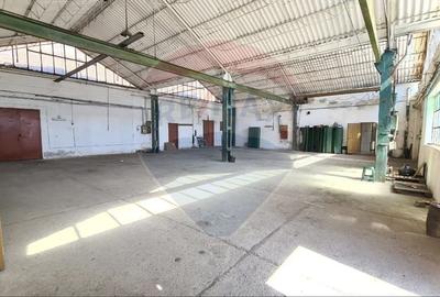 Spațiu industrial, de 450 mp, în Sânnicolau Mic - 3