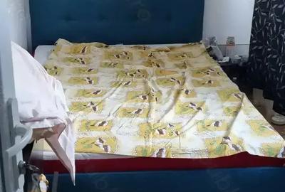 Apartament de vanzare 56.000 euro - 3