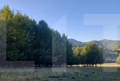 Teren de 11600 mp, în Central - 3